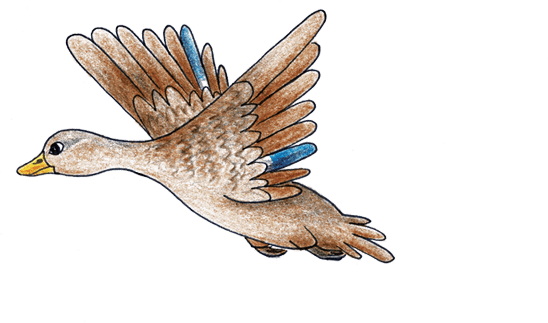 Dvojjazyčná detská literatúra v slovenskom a nemeckom jazyku